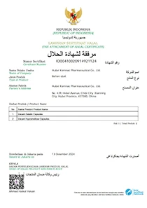 HALAL INA